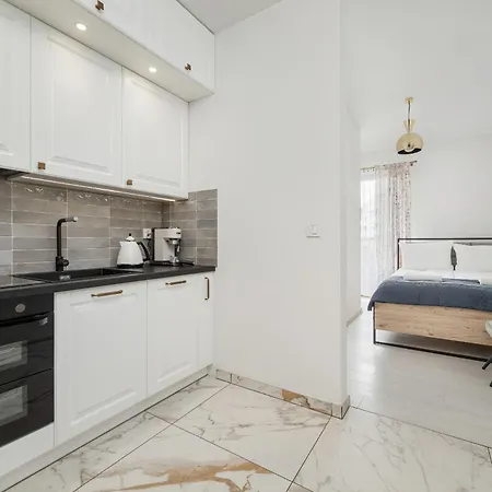 Modern Classic In Kepa Mieszczanska By Renters Apartment *